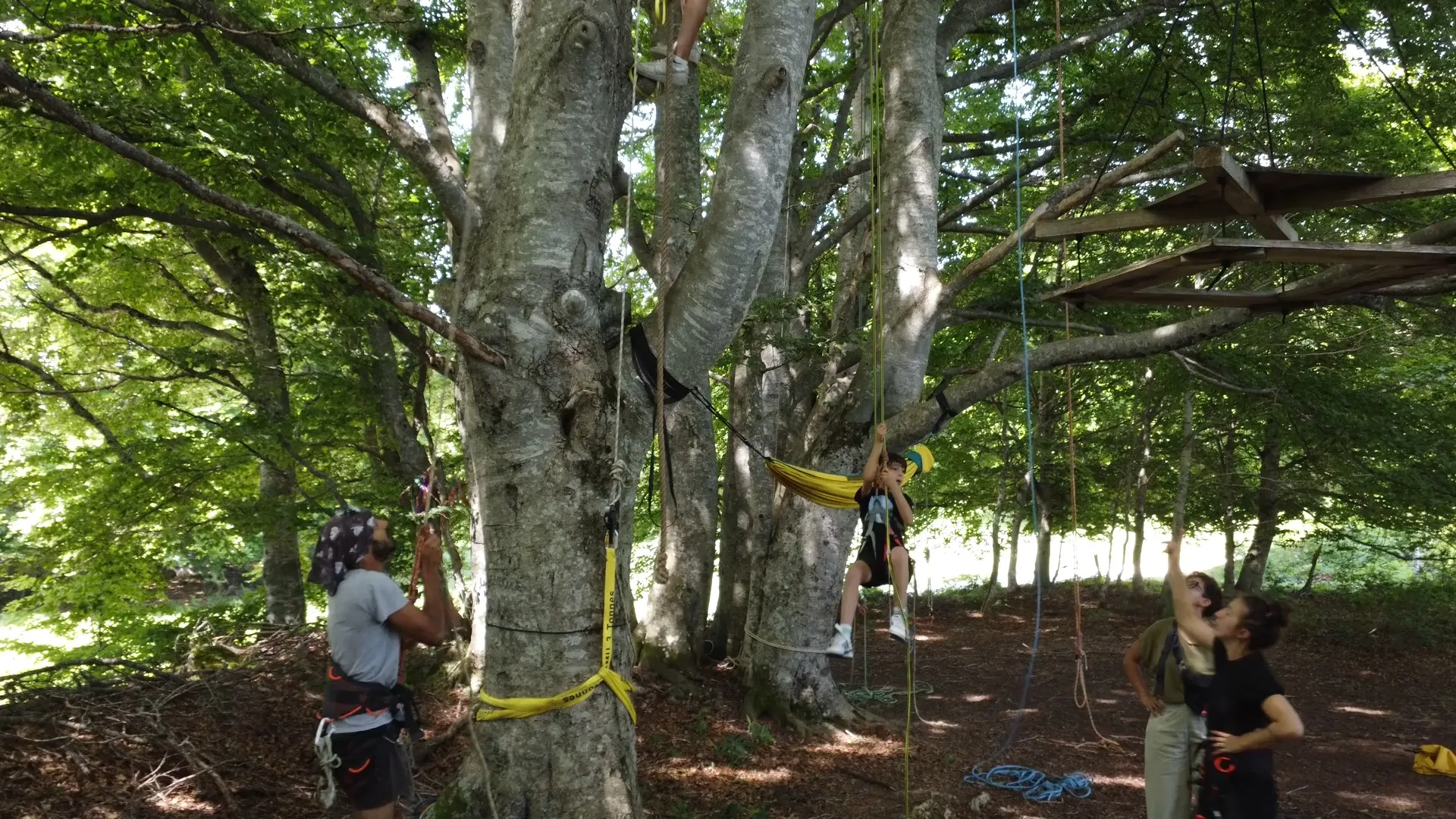 l'équipe alabrodarbre s'assurant que le lieux est sécurisé et aidant les grimpeur assurés