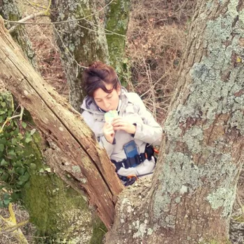 Lou dans un arbre avec l'équipement de grimpe